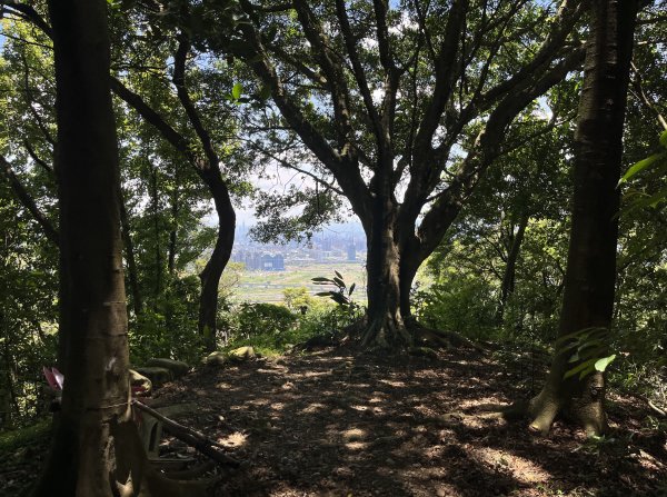 [跟著2025雙北世壯運探索雙北市-7/21] 2025_0615 疾風足球道（輔仁大學－明志路二段2814989