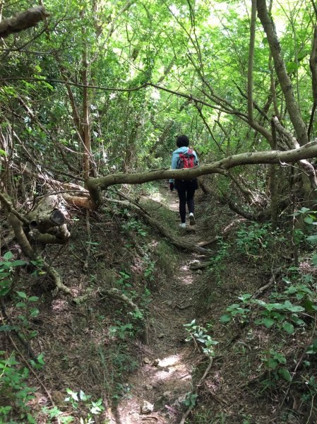 屏東恆春~兩個女生的探險記小百岳大山母山1156892