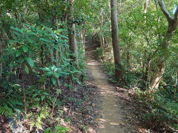 微笑山線之鳶山任務2855502