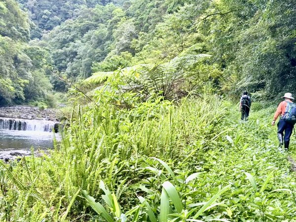 桶後越嶺道悠遊（烏來－礁溪）    2025.7.52827975