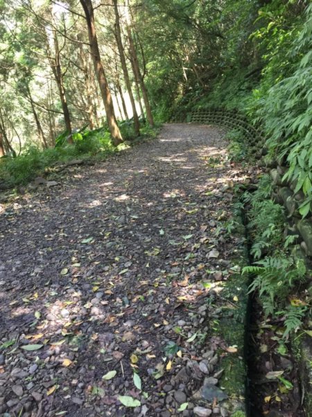 抹茶山&三角崙山566966