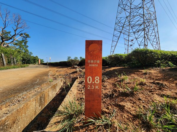 新竹湖口｜萬年道、仁和步道、金獅古道、漢卿步道2912215