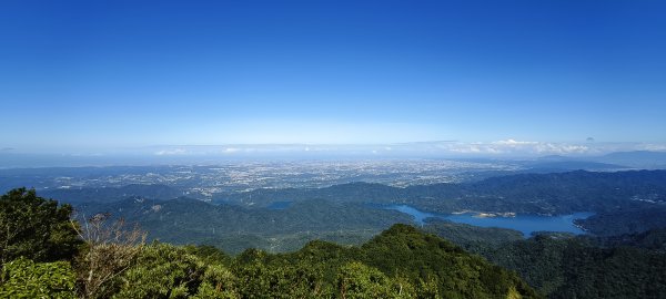 2025/10/10-水田林道上外鳥嘴山2911499