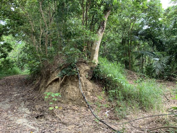 20250906台南蚵殼坑山-九層嶺-三十六崙山-洋子寮山2881502