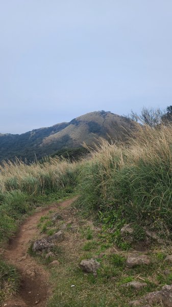 2026-0116 大屯三山_貴子坑_北投2984728