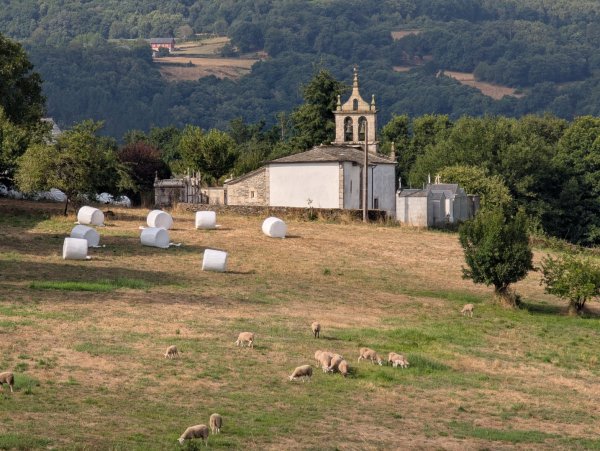 朝聖之路Sarria2983593