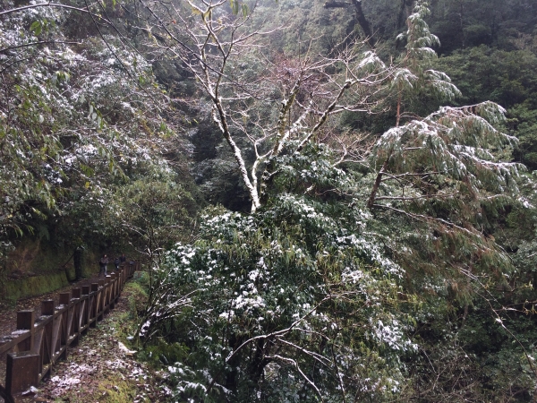 山岳之美 塔曼踏雪8395