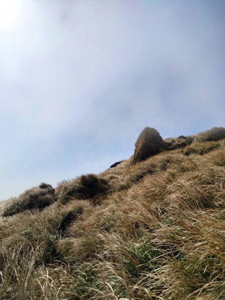 七星主峰、東峰812637