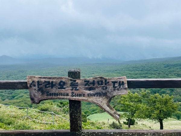 1140811 KR 漢拏山杜鵑花田避難所-紗羅岳觀景臺2860214