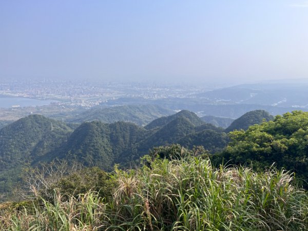 觀音山硬漢嶺2081856