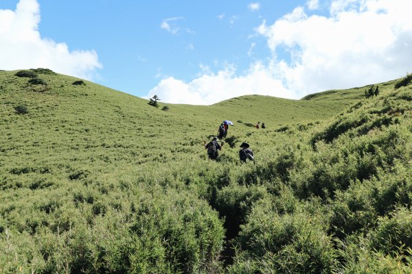 合歡北峰、小溪營地｜新手試煉場、老手耍廢975518