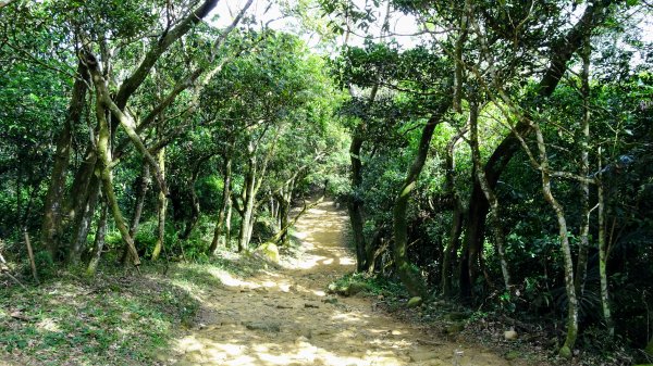 今天，我想來點飛鳳山，叮咚。1142051
