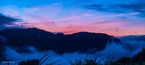 跟著雲海達人山友追雲趣 #草莓月亮 #月圓雲海 #霞光 #日出雲海 #茶園 6/112808757