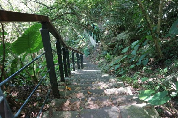 〔花蓮〕布洛灣吊橋+伊達斯步道+環流丘步道。一次走好走滿的布洛灣壯麗景觀步道2266346