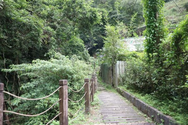 〔新店〕銀河洞越嶺步道 待老坑山 貓空  樟湖步道，繞8字路線2316858