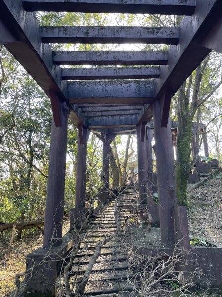 麻竹坑山2691405