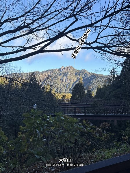 20251225塔山步道(大塔山)2970243