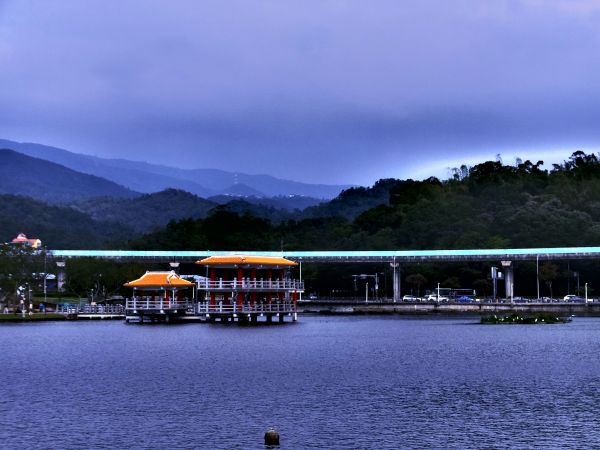 白鷺鷥山與大湖公園落羽松步道235793