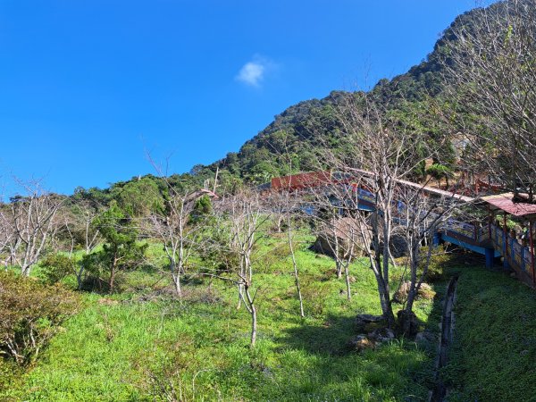 新竹十八尖山，飛鳳山，觀日坪，五指山，鵝公髻山步道3132027