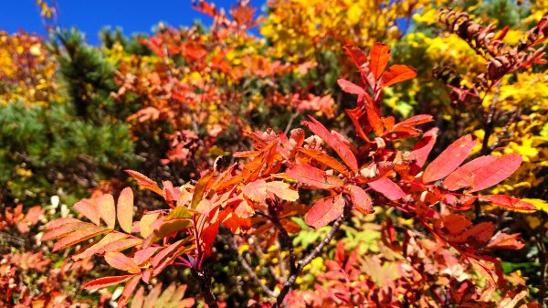 體驗日本最經典的北阿爾卑斯山脈之美燕槍穗縱走2964566