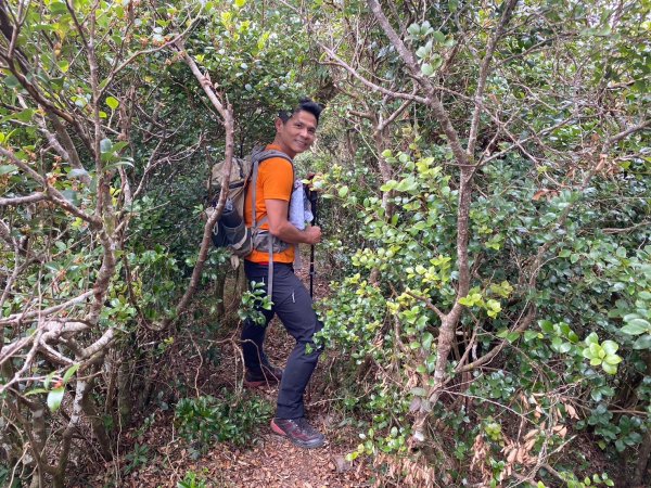 巴層巴墨山【一趟讓人刷新三觀的山林之旅】2714489