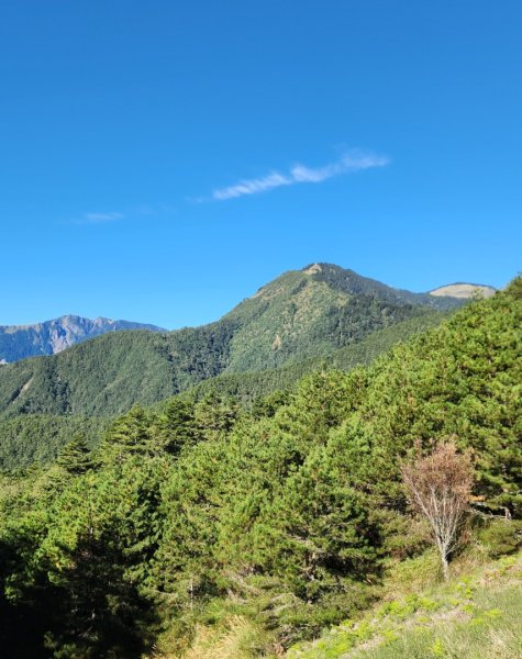 【中級山】馬武霸山，實至名歸的百岳觀景台2937737