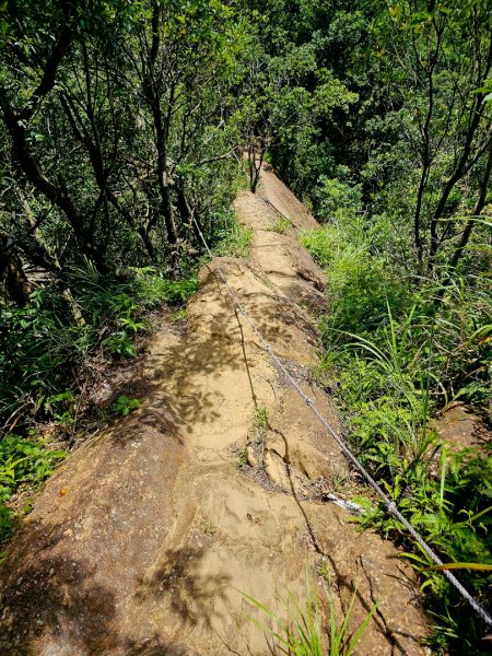 (二格山系)皇帝殿稜線-2025微笑山線大縱走尋寶集章任務2863493