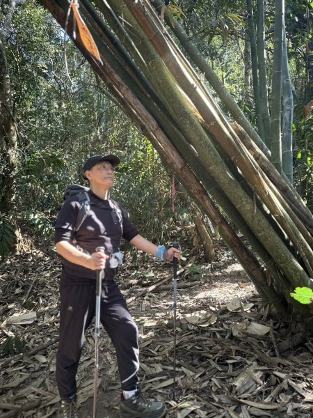 20260212 小百岳白雲山及西阿里關山3002903