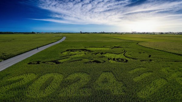 三奇美徑,52甲濕地,傳藝中心2518178
