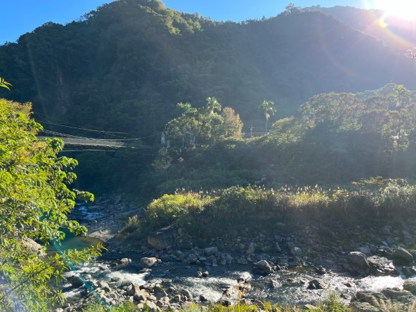 20231127_觀霧榛山步道（森遊竹縣）2763080