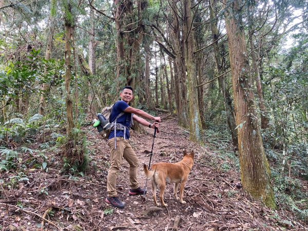 望鄉部落.獵人古道.望美山.瓊山【人與自然山林的恩怨情仇】2731398