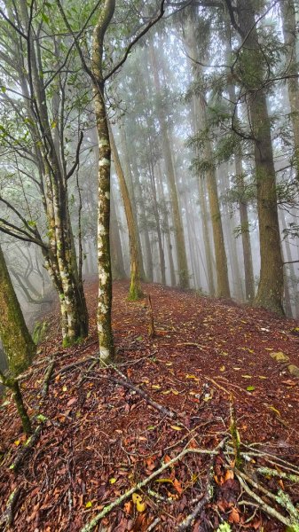 112.04.08 油羅山2123588