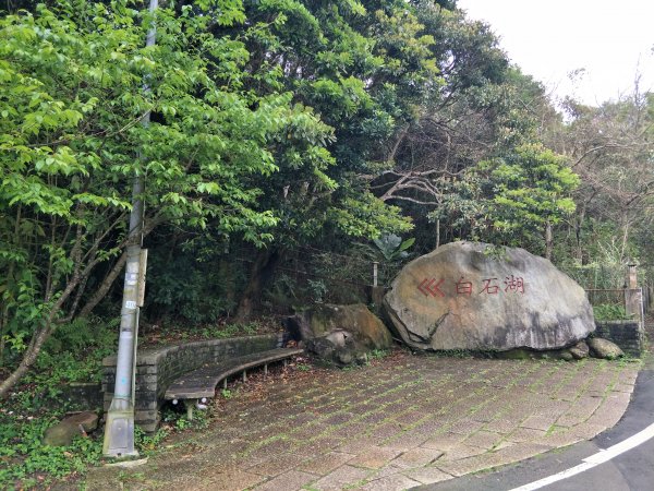 大崙頭山1299815
