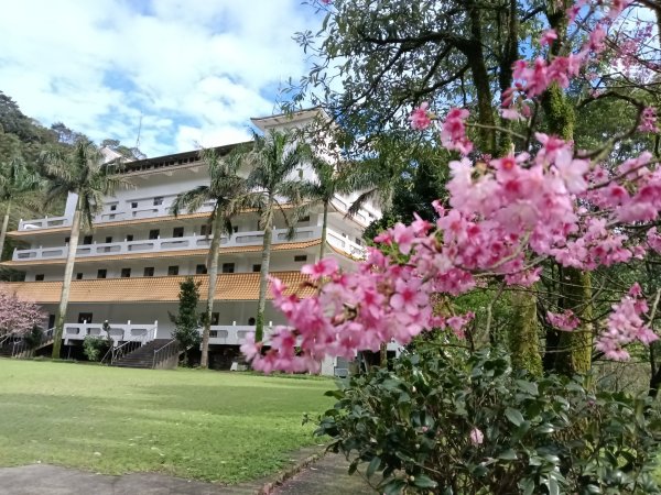 汐止區大尖山櫻花+秀峰瀑布O型3009410
