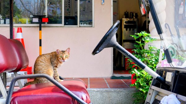 豐之谷,理想大地,林田山,立川漁場3007282