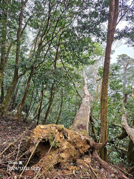 【苗栗郊山聖稜線】仙神象18連峰大縱走2675883