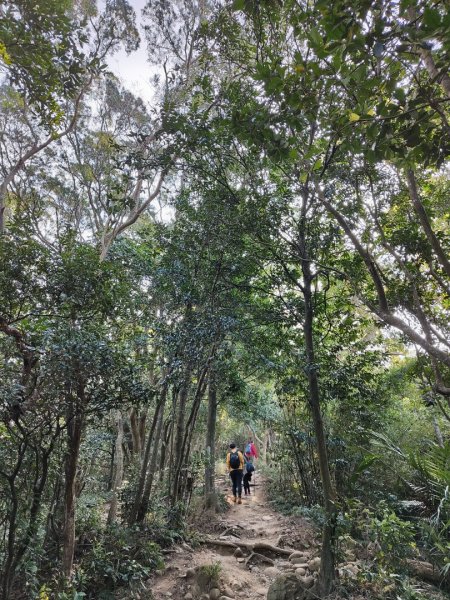 2024.01.02 飛鳳山2832145