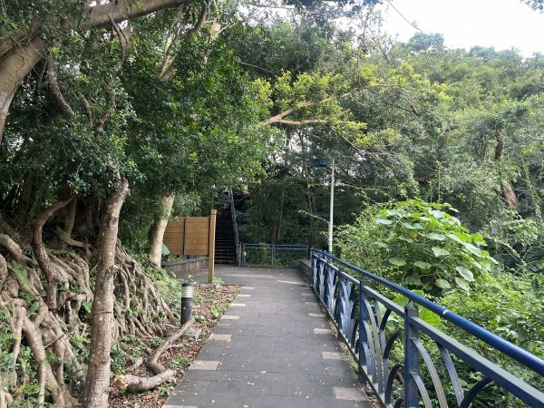 [百山百鳥尋旅-01/15] 2025_0807 和美山步道2854542