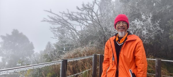 #霧淞 #雲海 #雲瀑 #霧虹 #太平山 #望洋山 #觀雲步道 #翠峰道路  2/82995327
