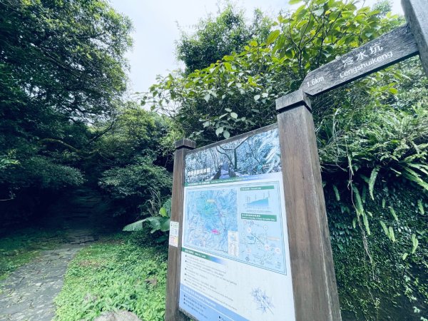 20261009 菁苗步道（苗圃登山口-菁山自然中心-前山公園）3133897