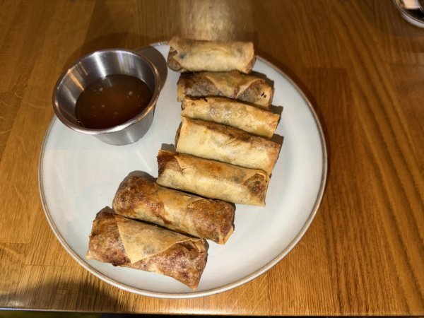 [紐約馬之行-50] 2025_1109~11 回到冰島/美國2952681