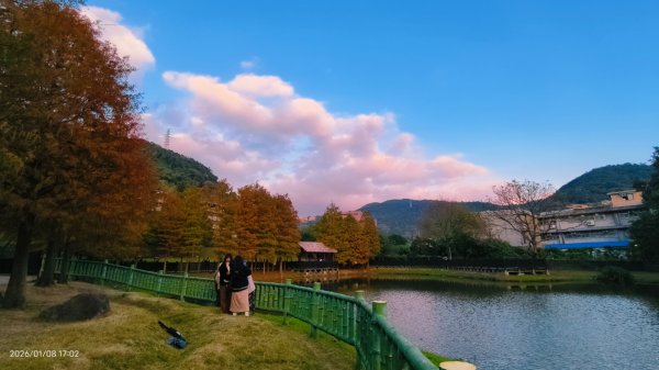 #花卉試驗中心 #永公路500巷 #平菁街42巷 #原住民公園 #士林官邸 1/42979250
