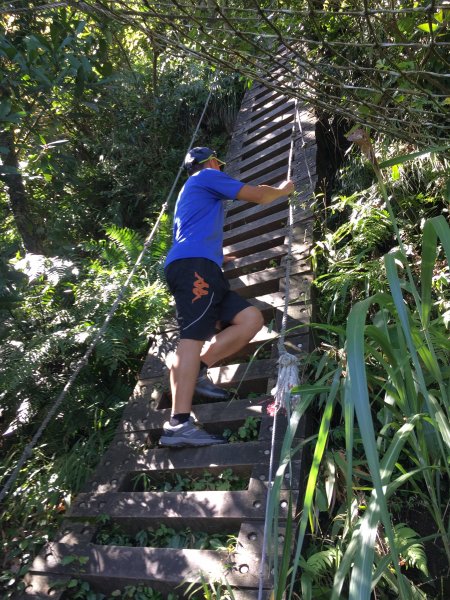 台灣小百岳#020-獅仔頭山447202