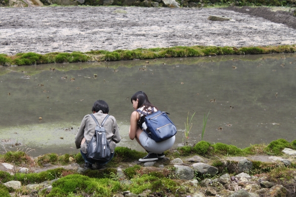 20160502台北陽明山-八煙聚落90736