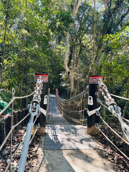 雪山坑登山步道尋巨人2978417