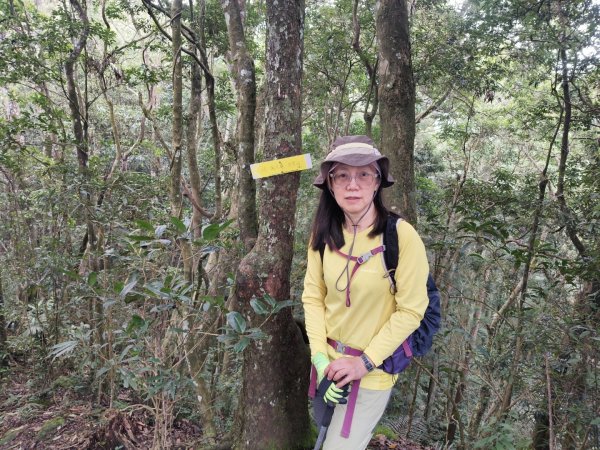 向天湖三山+ 南大龜山3012336