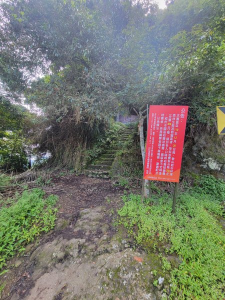 【南投 | 小百岳 金柑樹山】1739110