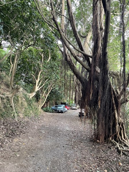 【大棟山系】405高地段2844910