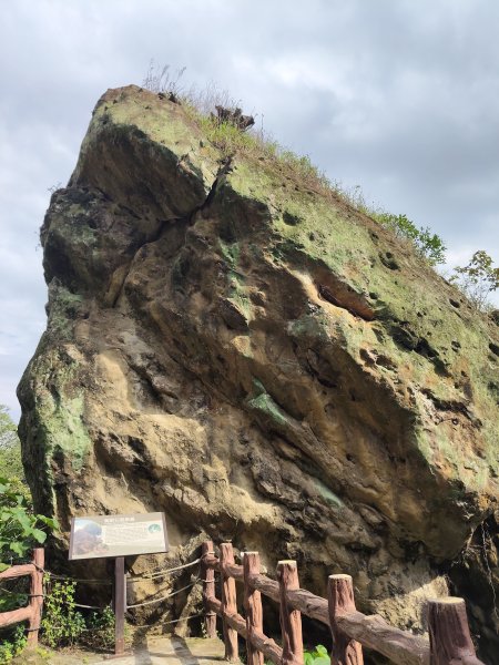 微笑山線：【大棟山系】百年大溶樹的2937775