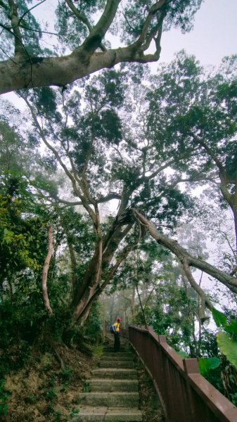 石硦林場、桶頭山O形3052338